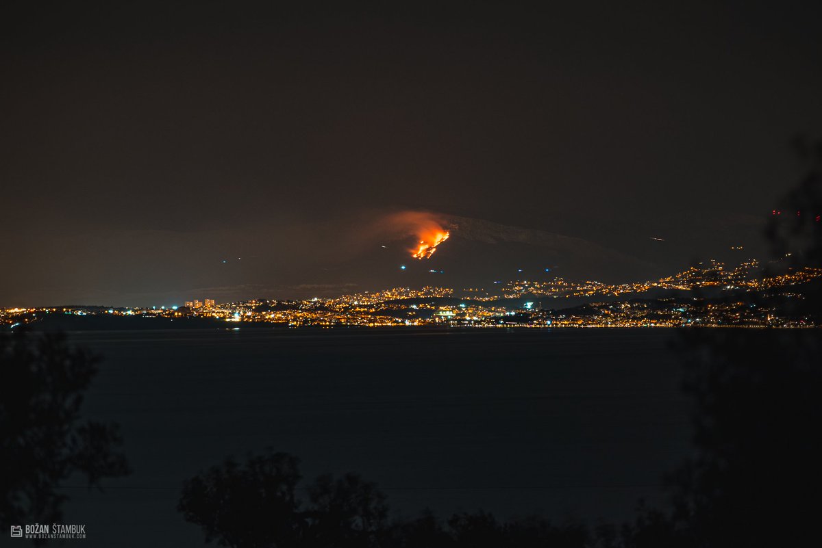 borrissey tweet media