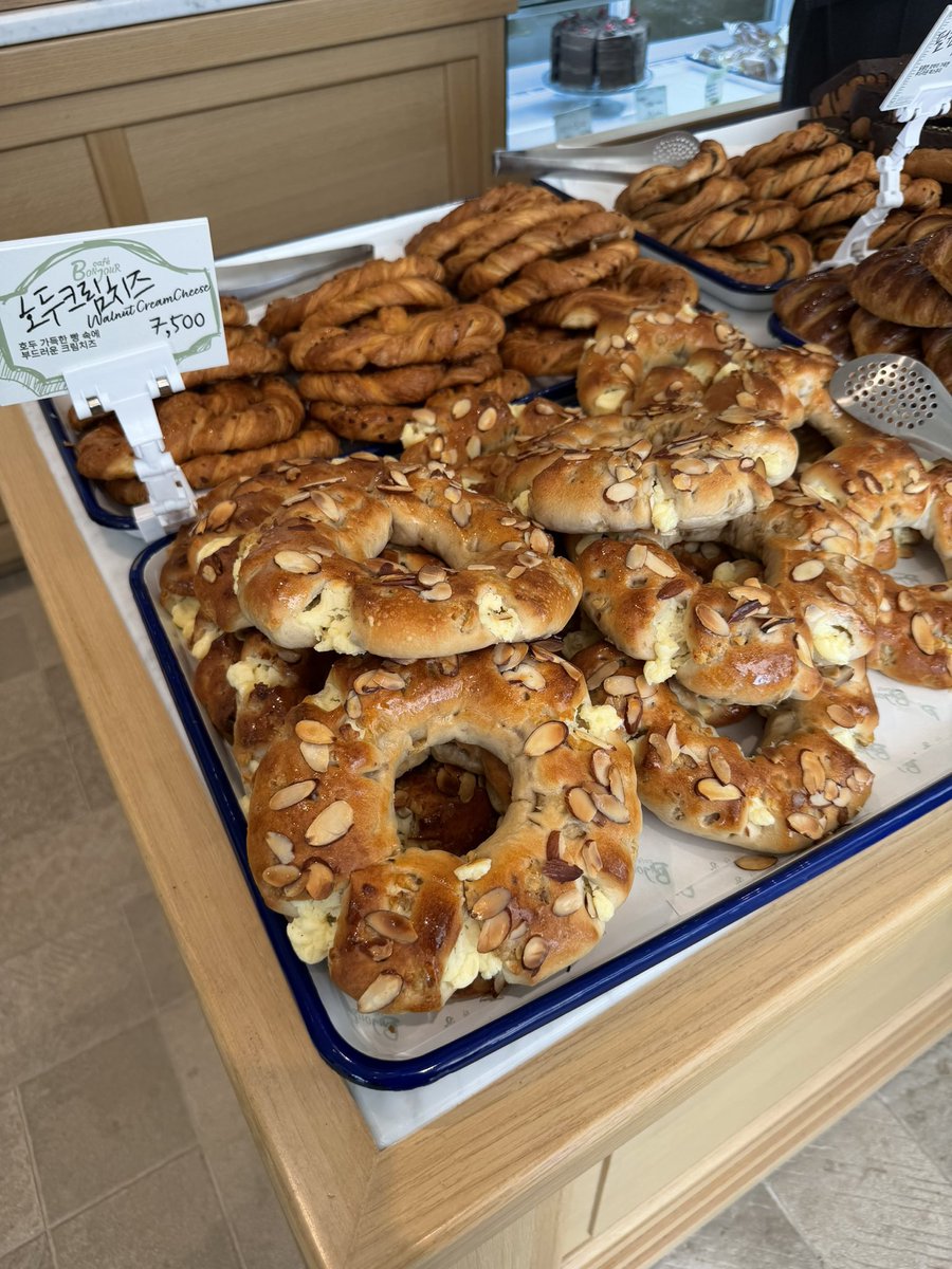 주팅스타 tweet media