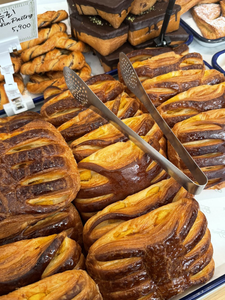 주팅스타 tweet media