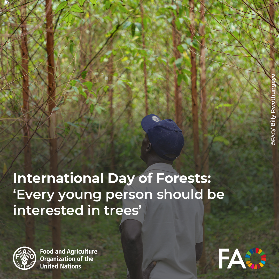 FAO in Uganda tweet media