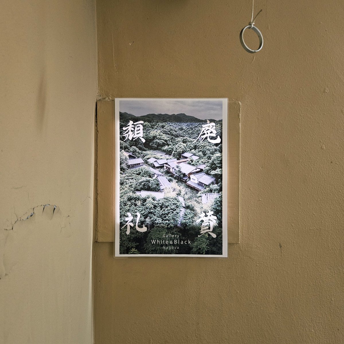 たおやめ∞ tweet media