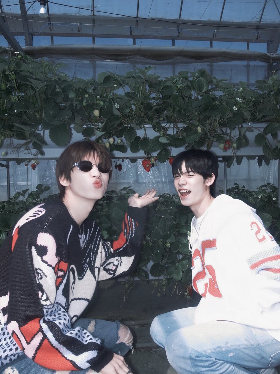 ᴸᵁᴵ •dwy era ꣑ৎ tweet media