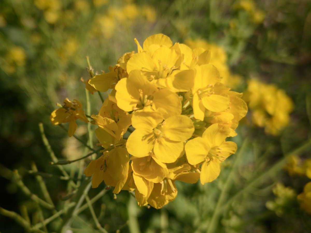 touring 8 tweet media