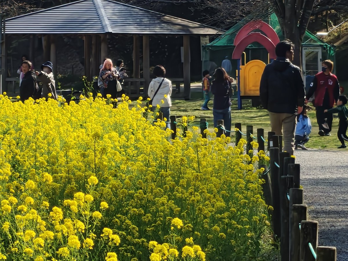 touring 8 tweet media