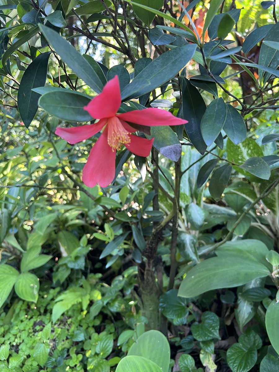 Markus Lérot tweet media