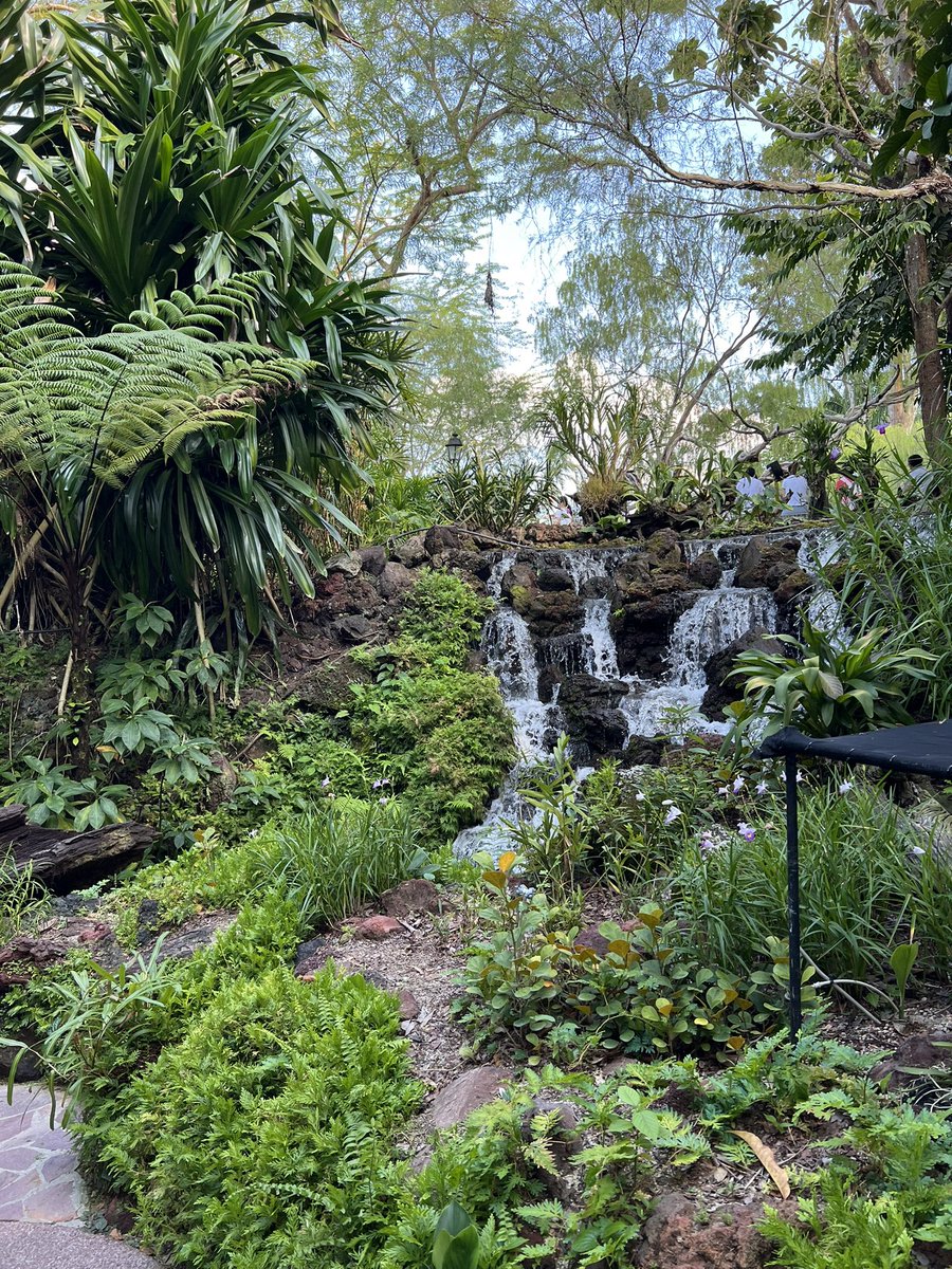 Markus Lérot tweet media