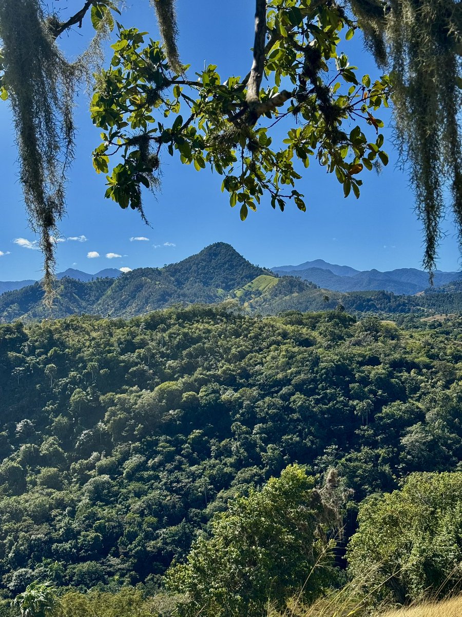 "AMA, PERO RECUERDA QUE LO QUE AMAS NO TE PERTENECE."
Una frase que trasciende todos los tiempos y que habla de qué es el amor verdadero.
Epícteto.