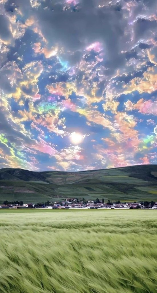 ひかる tweet media