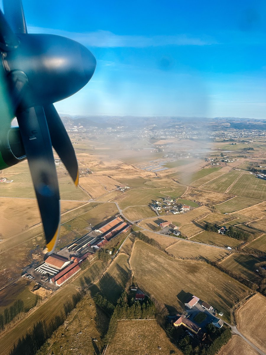 Margit Hylland tweet media