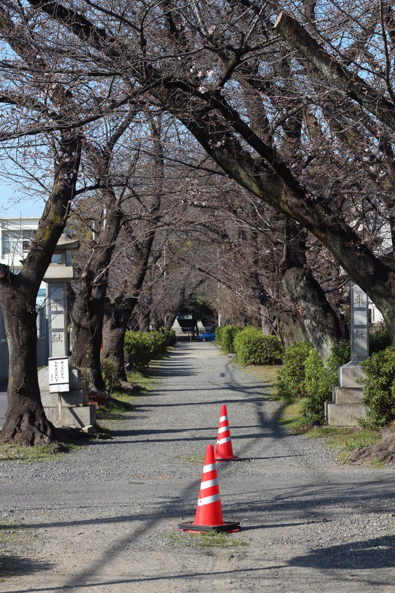 イノウエ タイジ tweet media