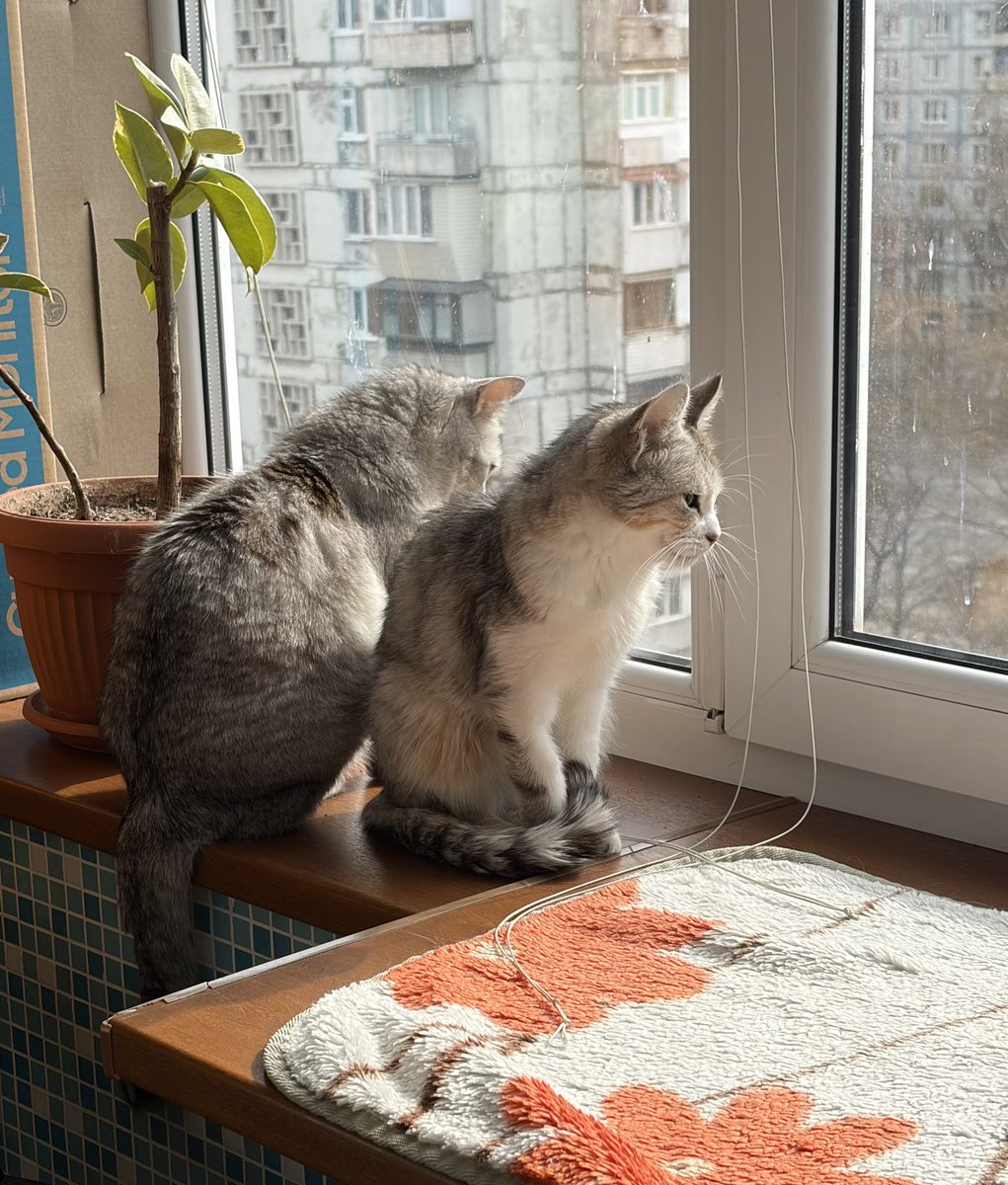 Пан GERXTRM tweet media