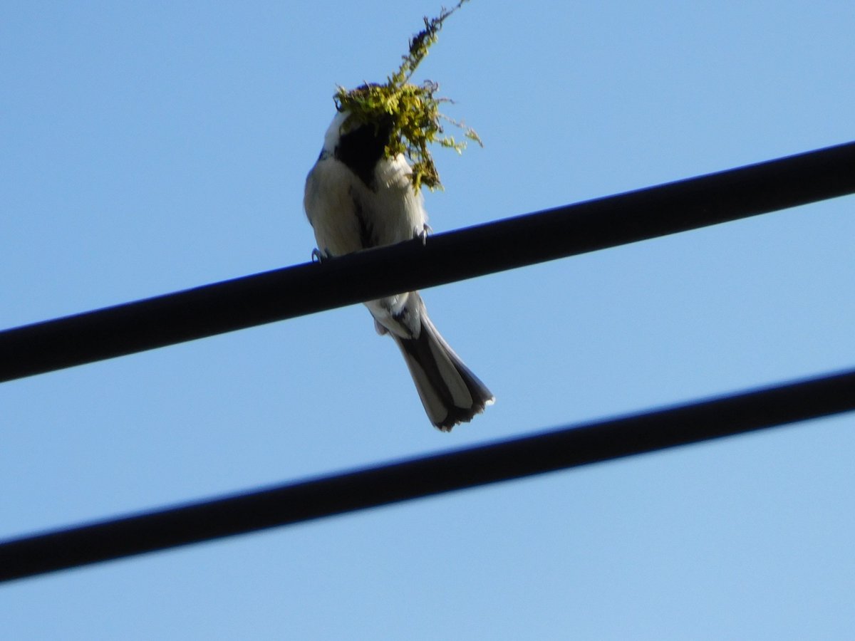 yudzurap tweet media