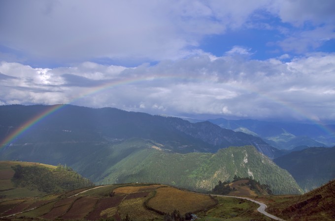 Willy Osano tweet media