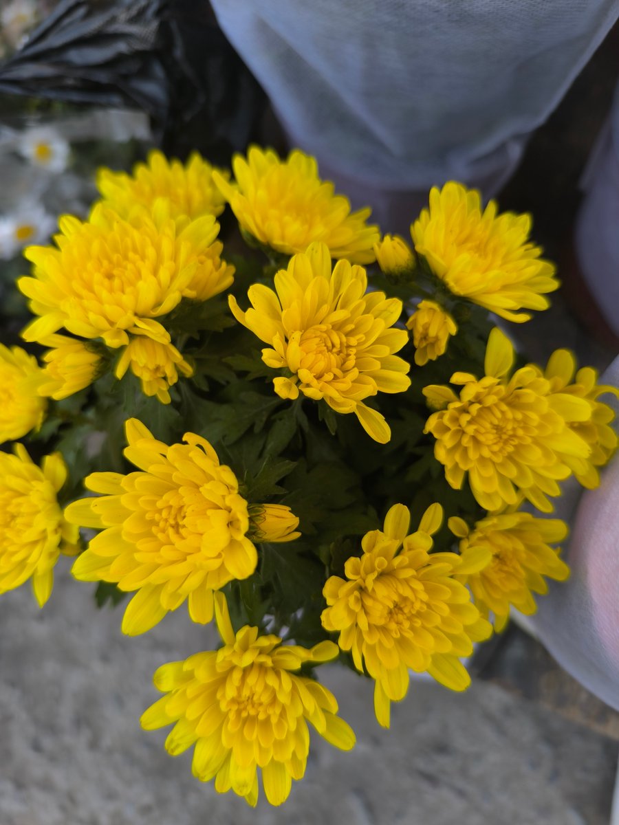 Luke Srsen tweet media