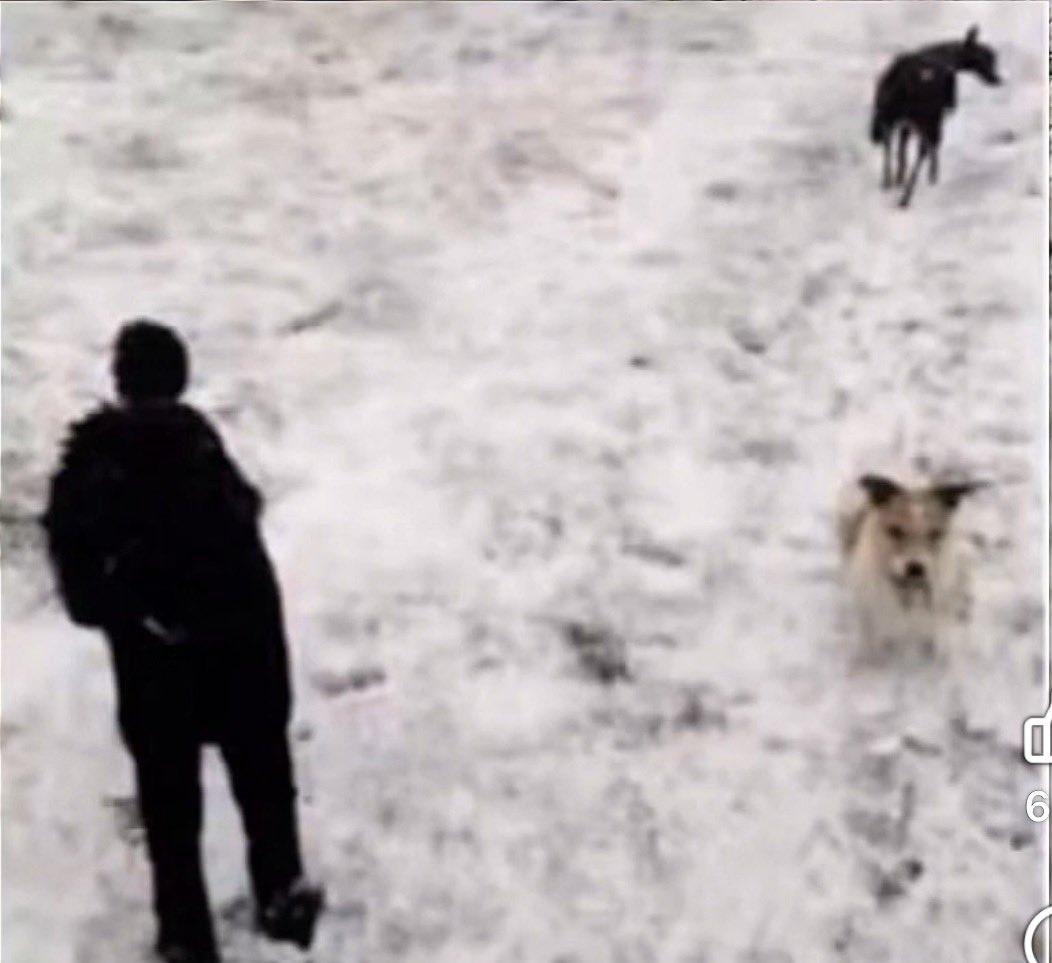 Johnny de Gladok tweet media