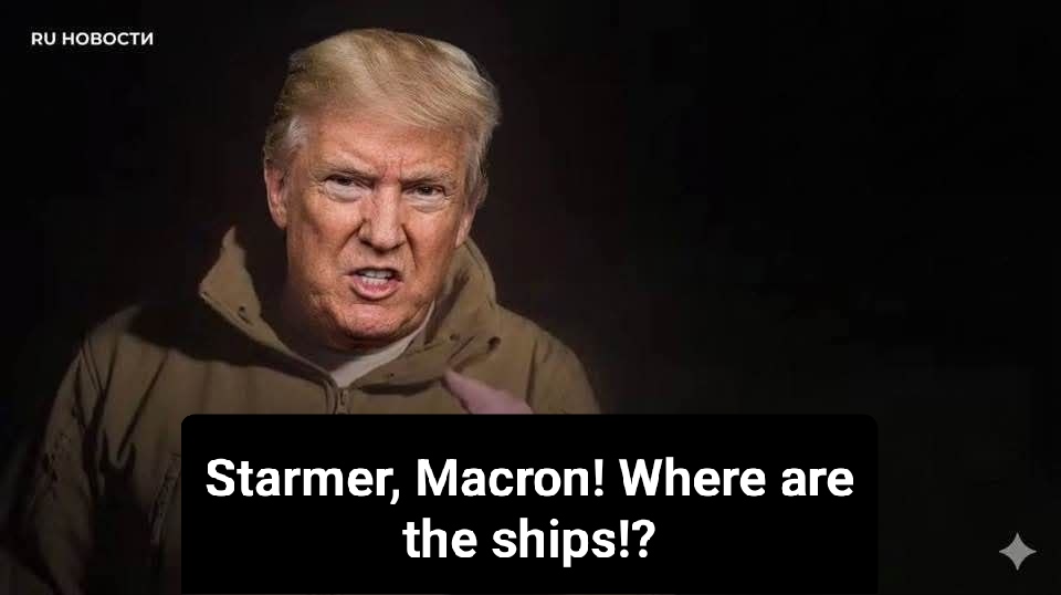 Olga Bazova tweet media