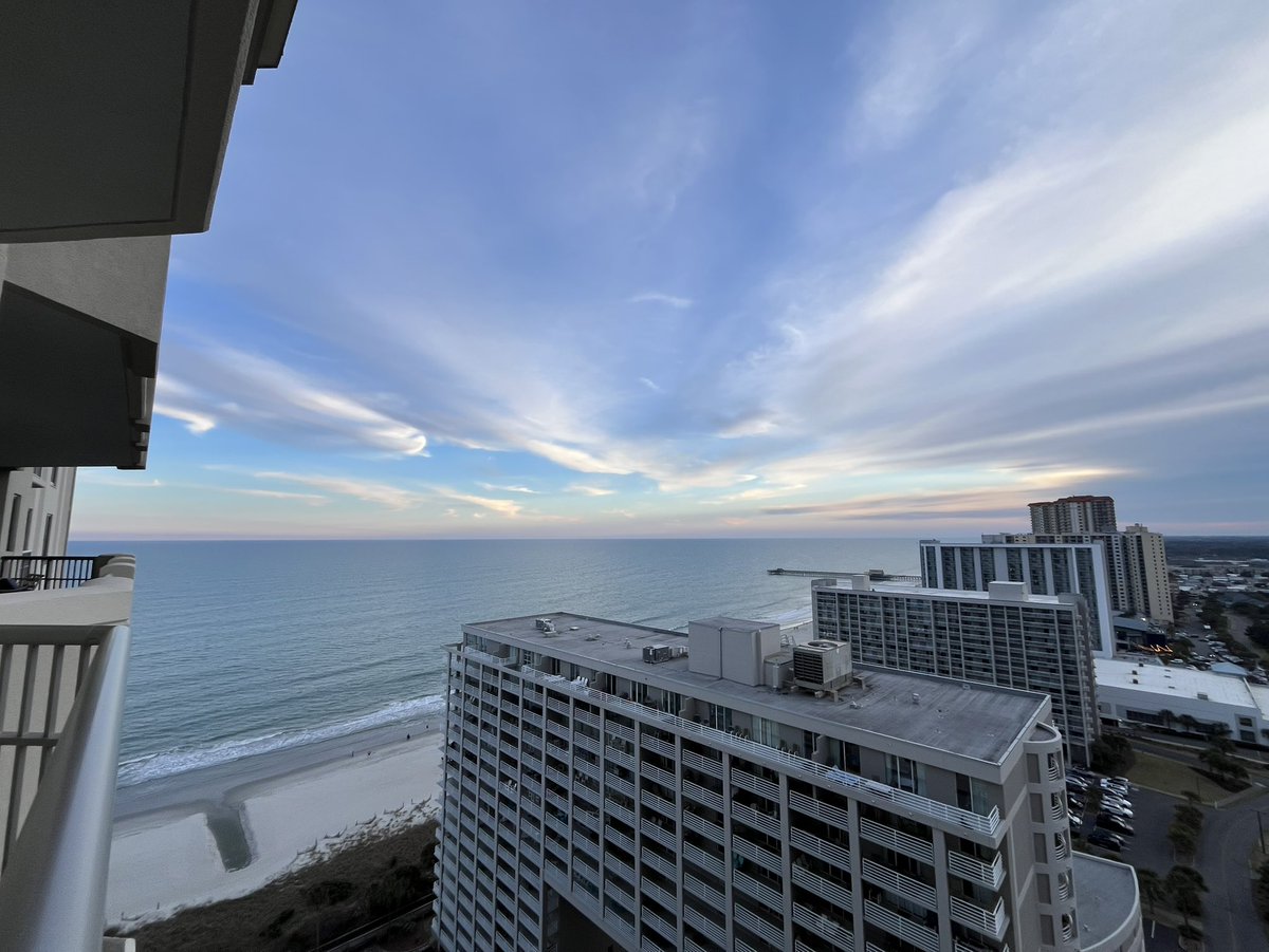 Jeff Musk 🐢 tweet media