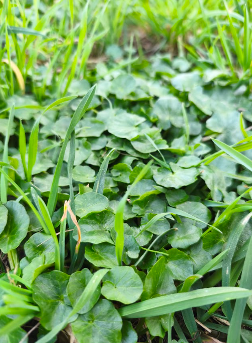 Wildschytz tweet media