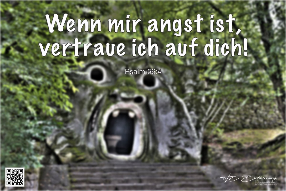 HC Bittermann 🕊️ tweet media