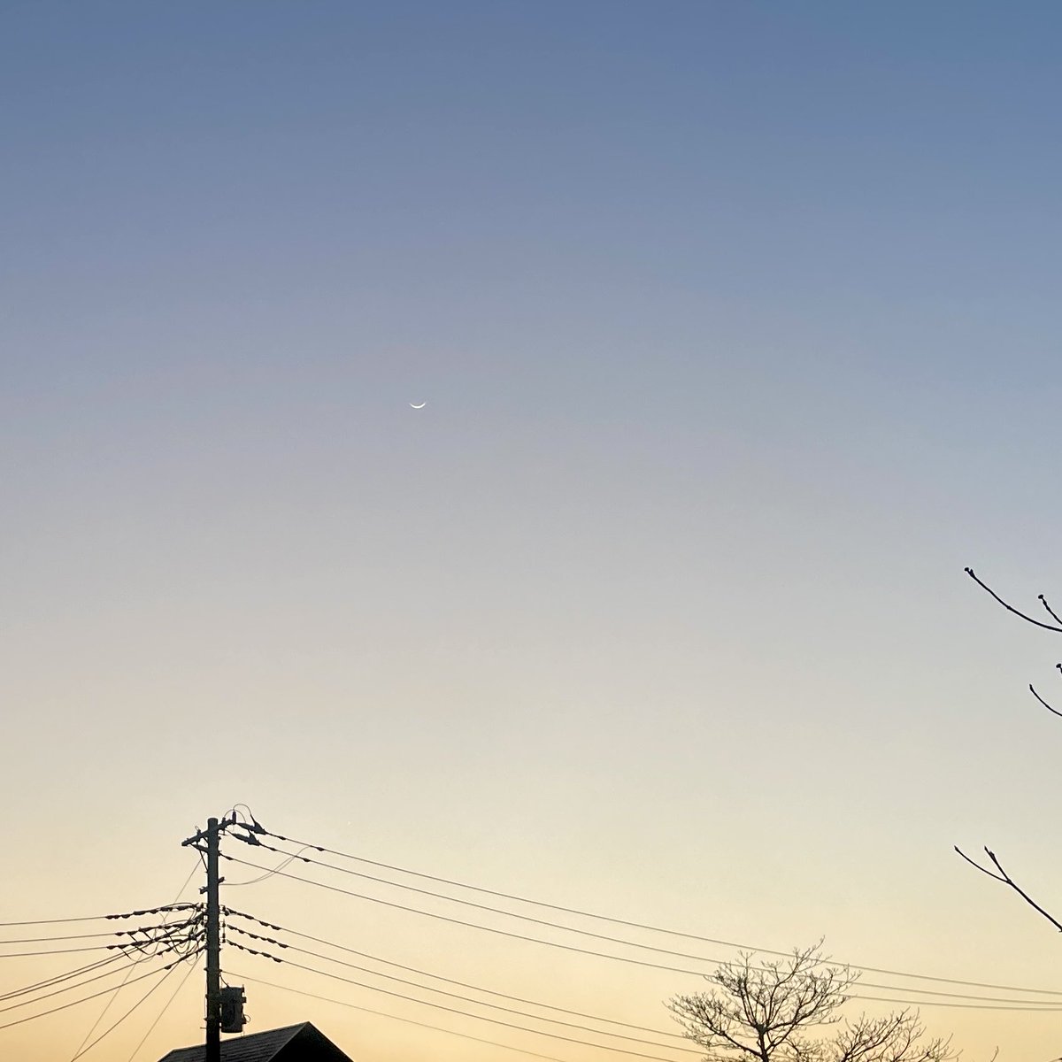 yui_eis_'s tweet photo. 🌙 https://t.co/005BlGb5e6