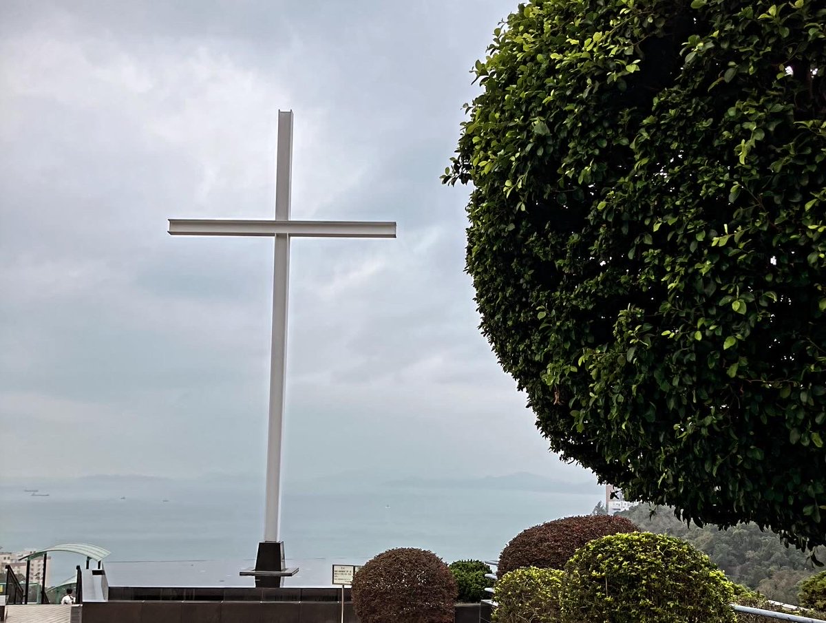 Ann Gillian Chu 朱安之 tweet media