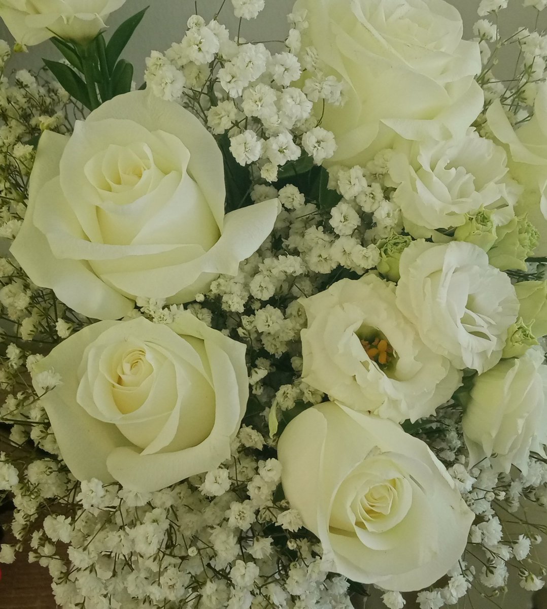 Hani M. Artz ✨💙 tweet media