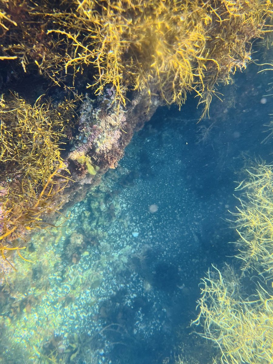 佐渡楽しかった✌︎︎( ‘-^ )
たらい舟、金山、トキの森公園！写真は撮れなかったけど幸運にも野生のトキが羽ばたく姿も見れて感動…ドライブでは遠くまで広がる田園風景に心癒された🌾