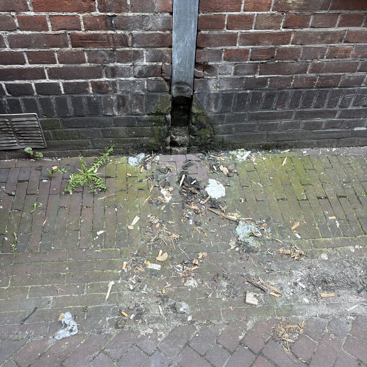 juffr.Annie ☮️ tweet media