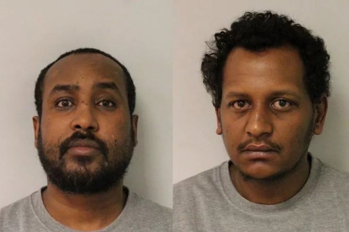 Deport Foreign Criminals tweet media