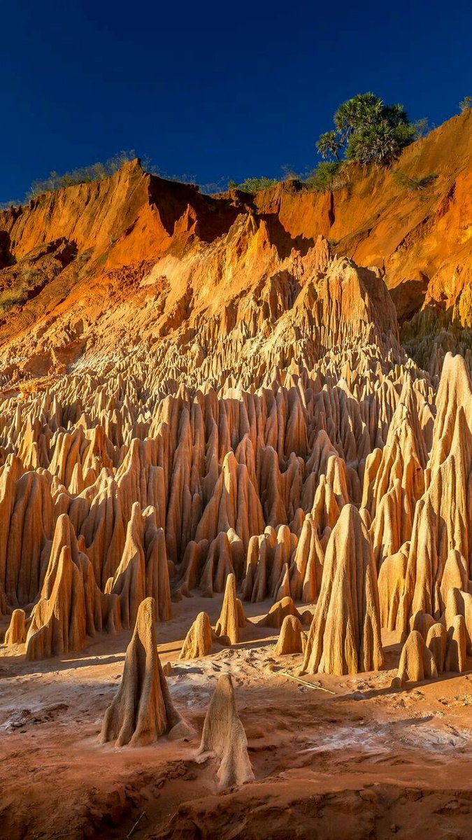 TravelDolce's tweet image. Spiky red pinnacles carved by erosion.

#TsingyRouge #Madagascar