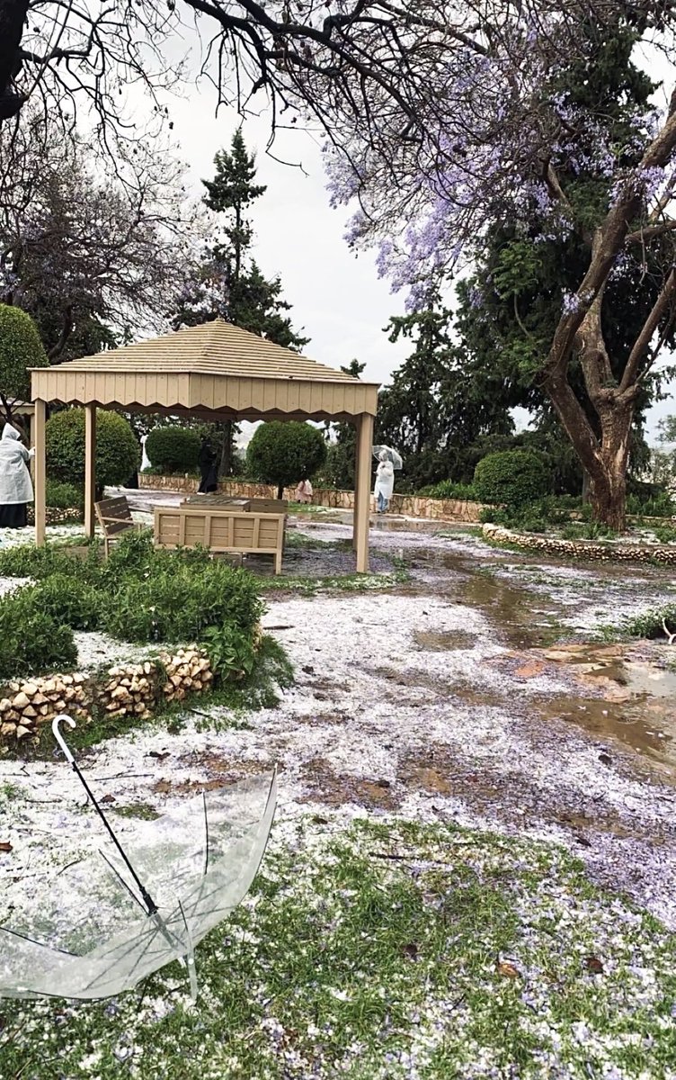 أسماء || 🕊️ tweet media