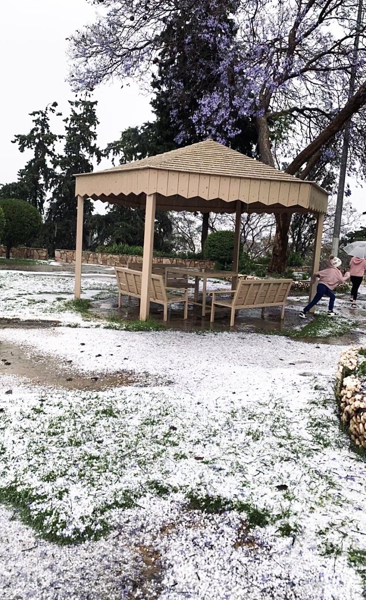 أسماء || 🕊️ tweet media