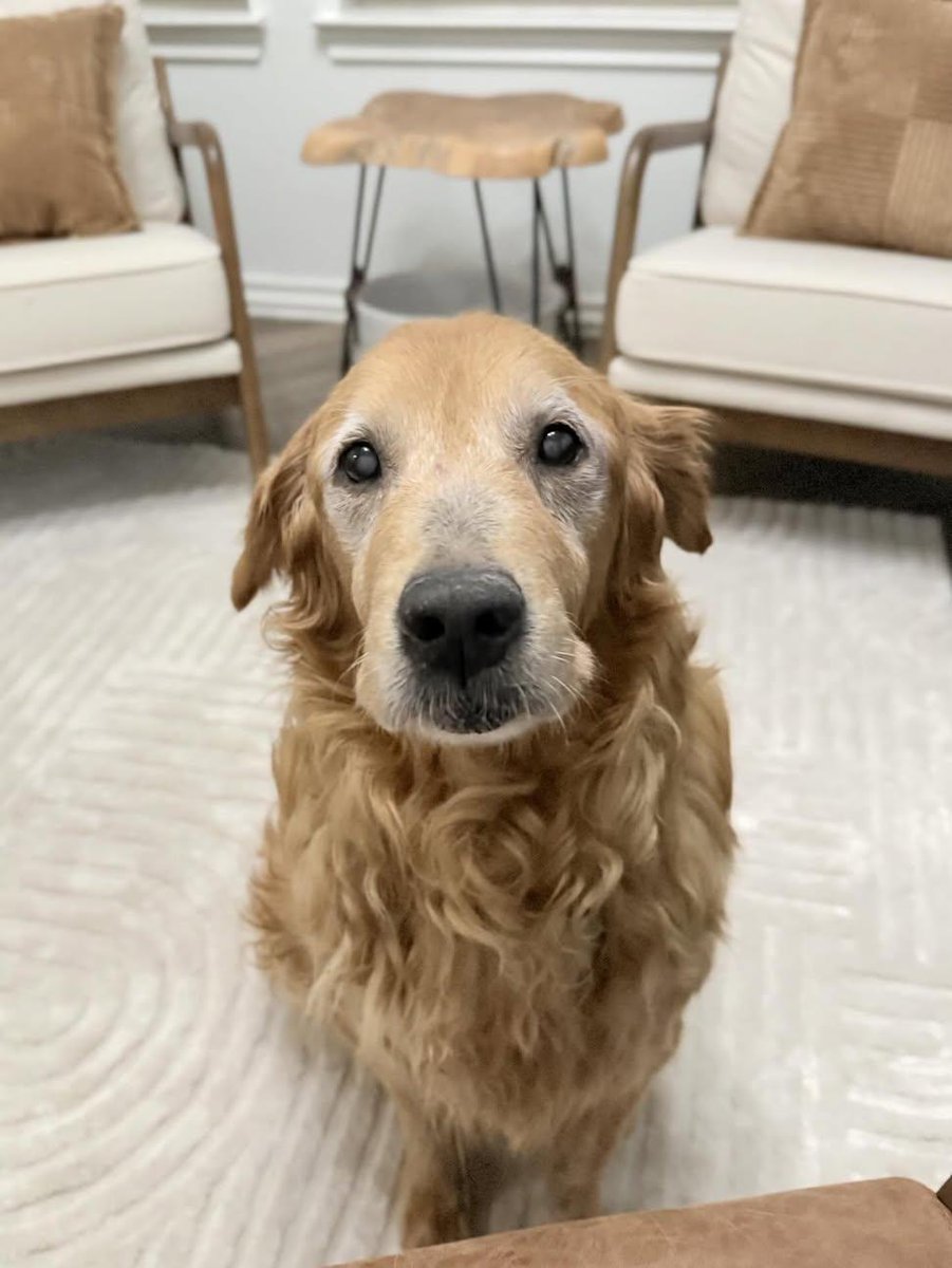 Sara Mary ⭐❤️ tweet media