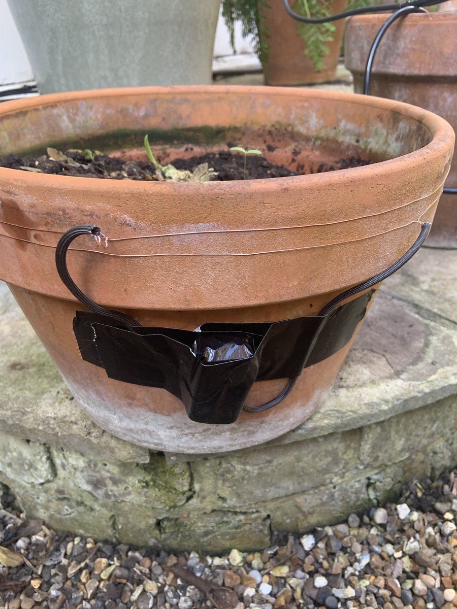 Doris from Watford tweet media