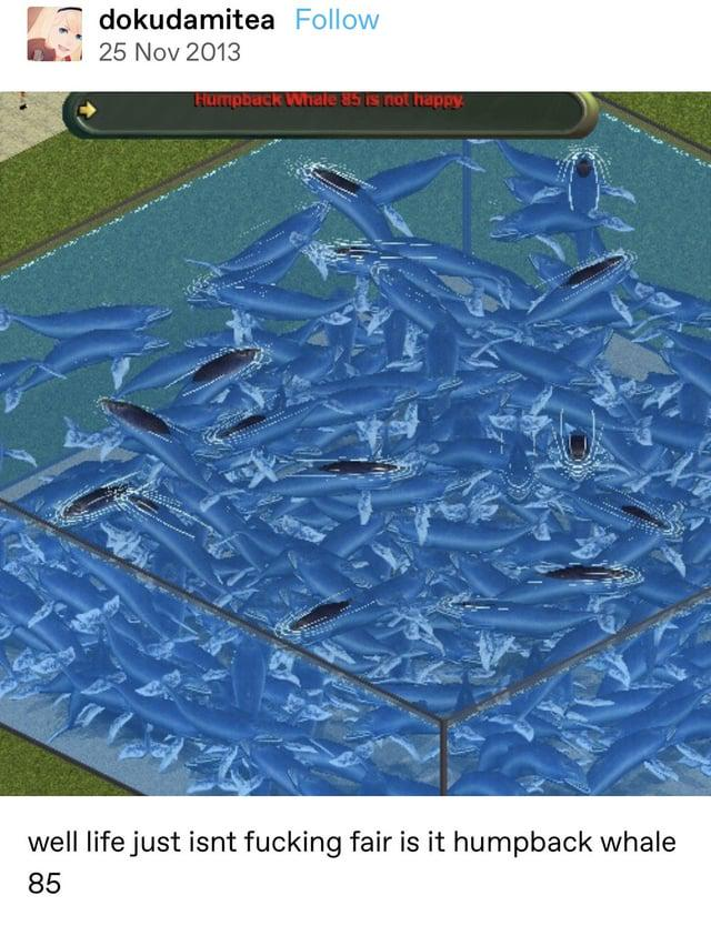 Queen Liza🩷🤍💙 tweet media