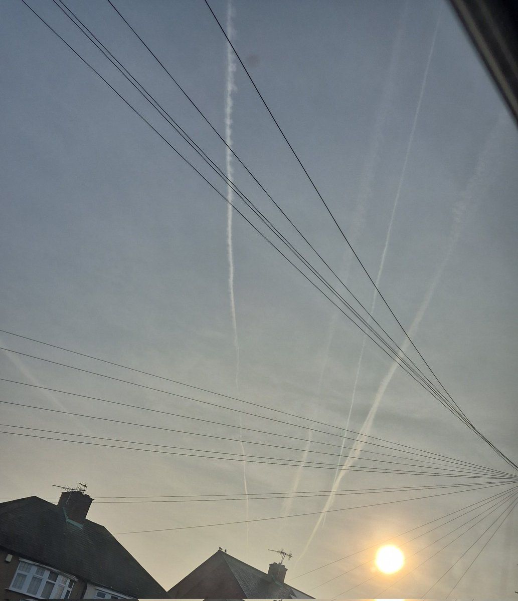 Freedom Forever tweet media