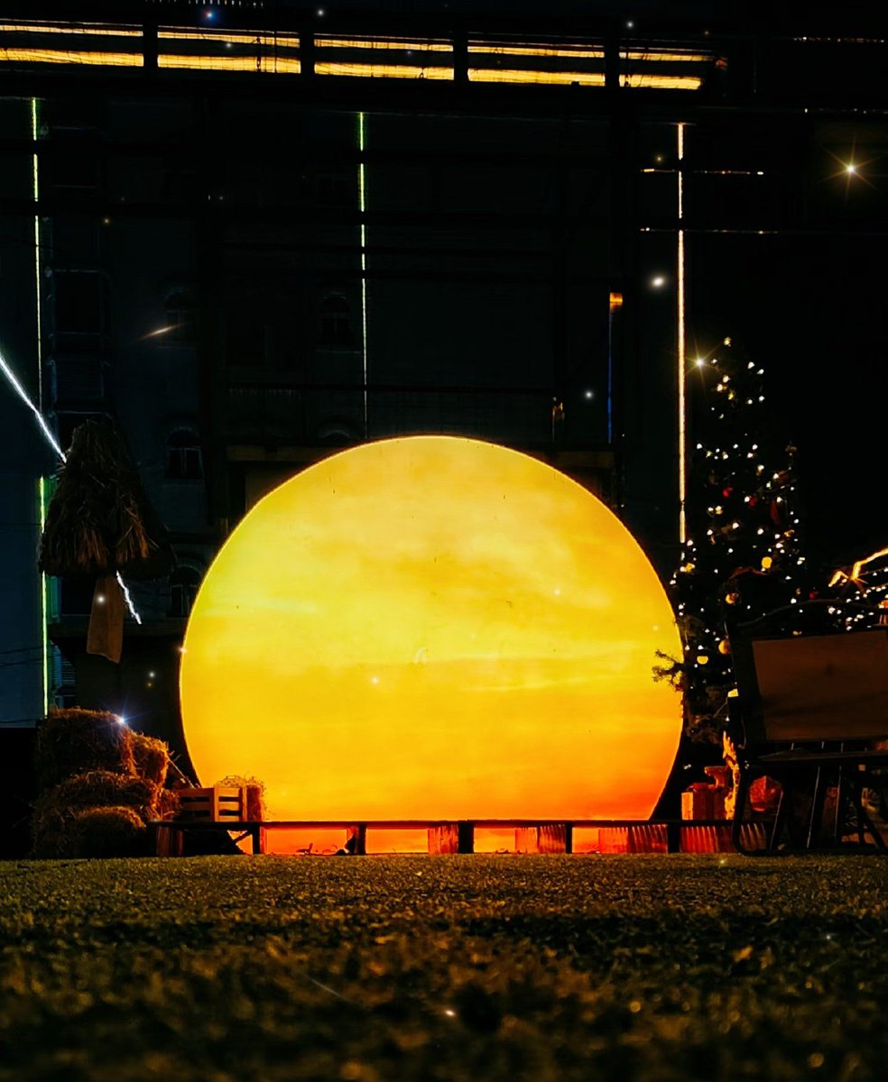 torz anisoara tweet media