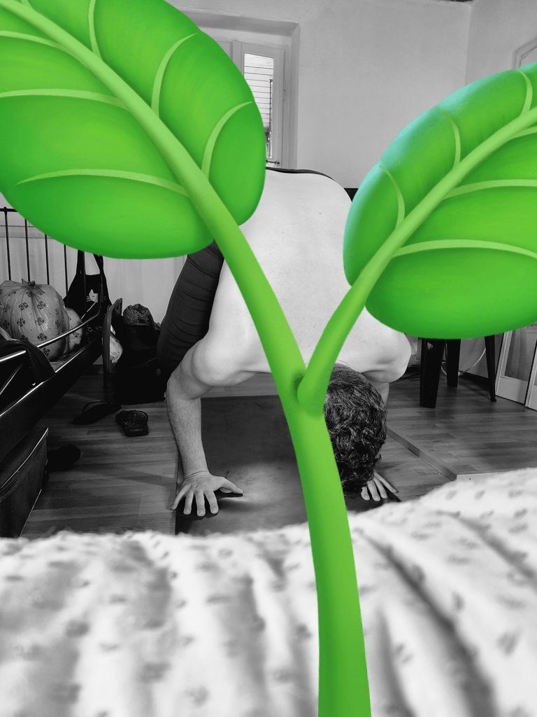 Σ⚡Ξ🌕 tweet media