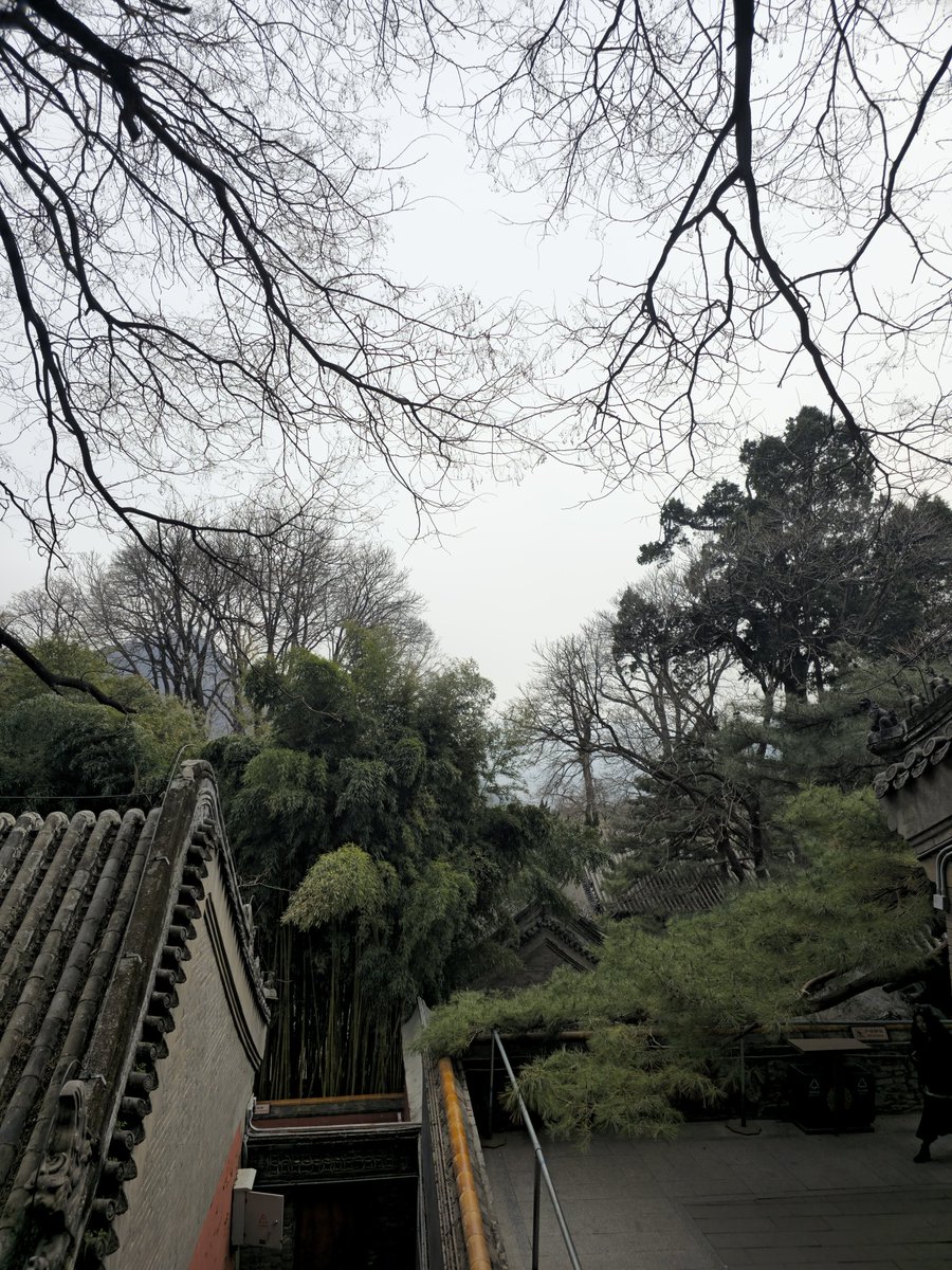 Beckeylin's tweet photo. Beijing's Oldest Temple https://t.co/kAVjPR8grw