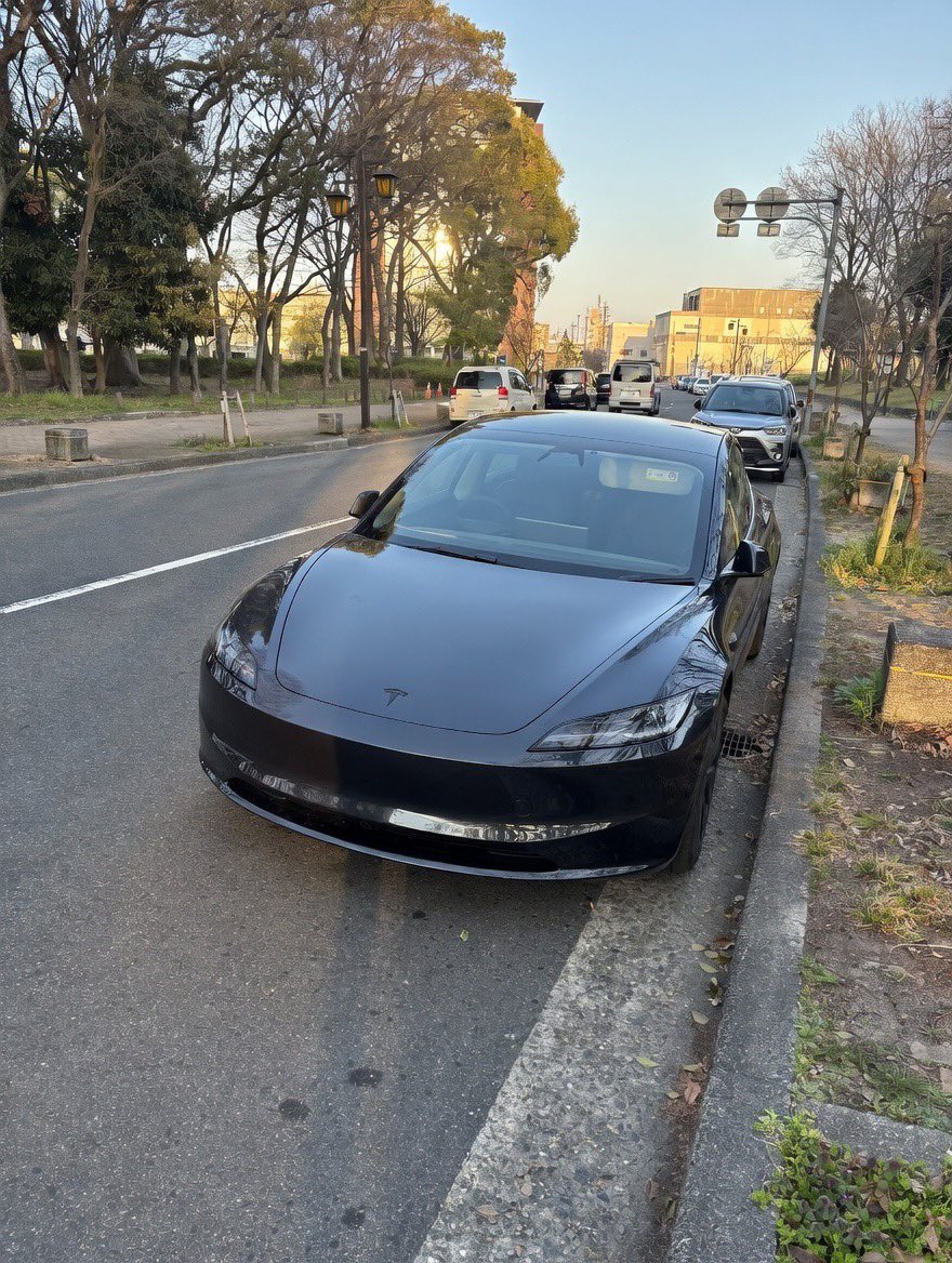 masatesla's tweet image. 名城公園の桜、咲き始め！
テスラで寄ってみたら、こんな景色🌸
まだつぼみ多めだけど、春が近い😆

#テスラ #Model3 #名城公園 #桜 #名古屋城