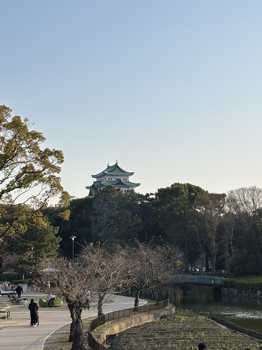 masatesla's tweet image. 名城公園の桜、咲き始め！
テスラで寄ってみたら、こんな景色🌸
まだつぼみ多めだけど、春が近い😆

#テスラ #Model3 #名城公園 #桜 #名古屋城