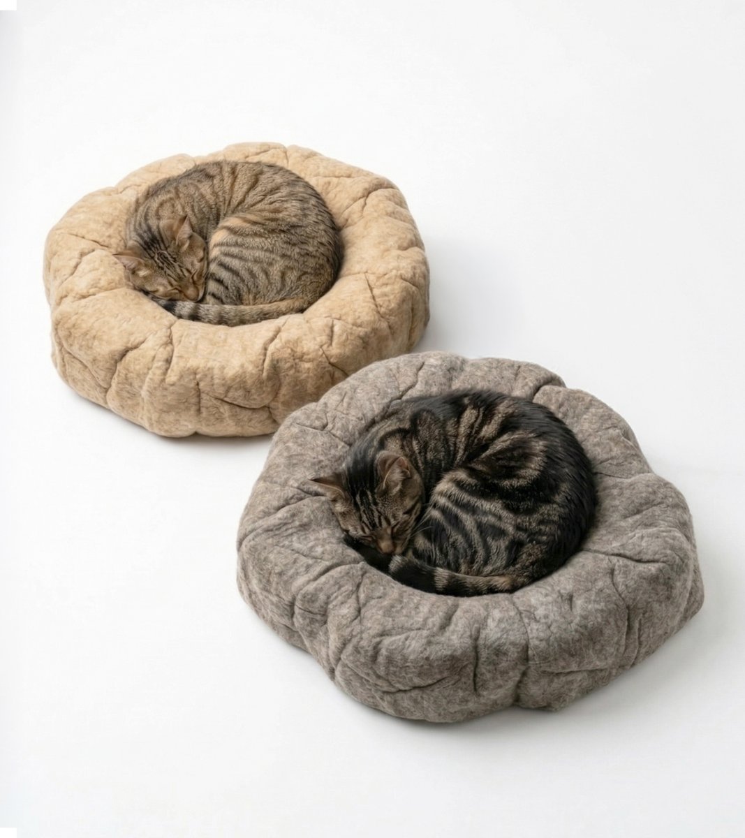 いしかわかずや tweet media