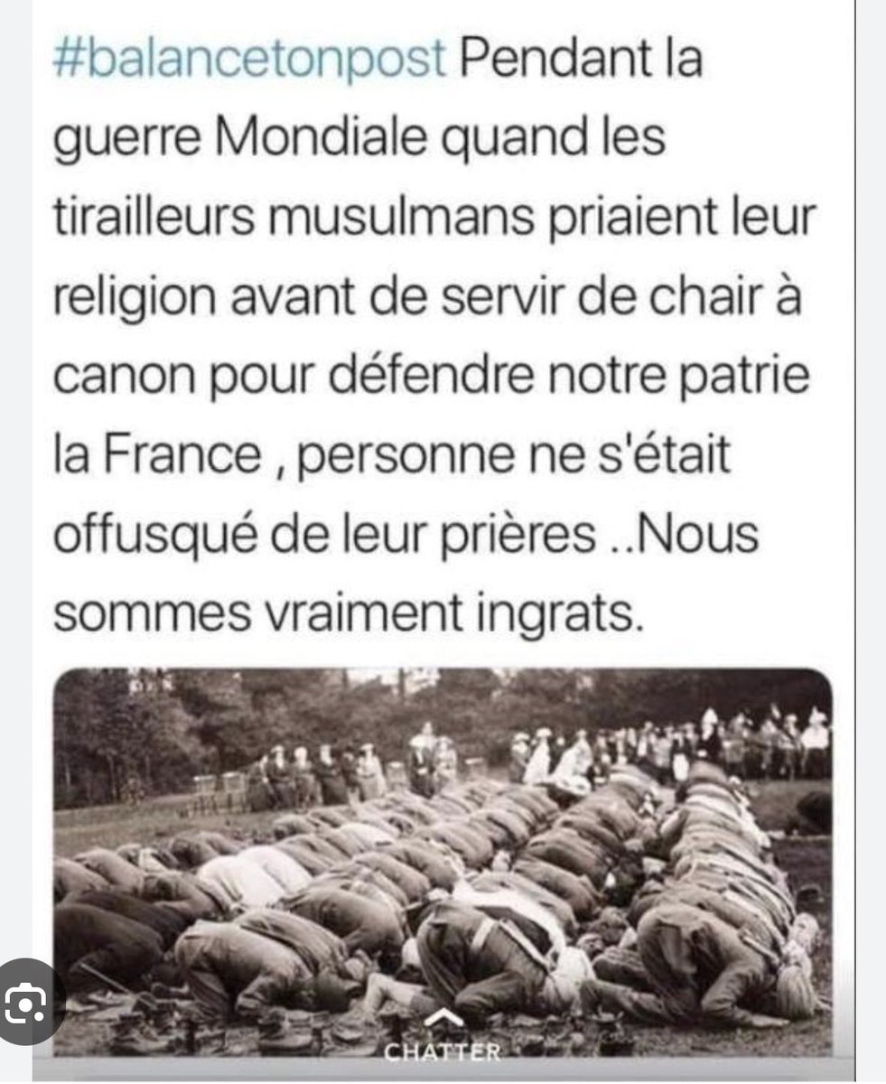 Liam Mell massa tweet media