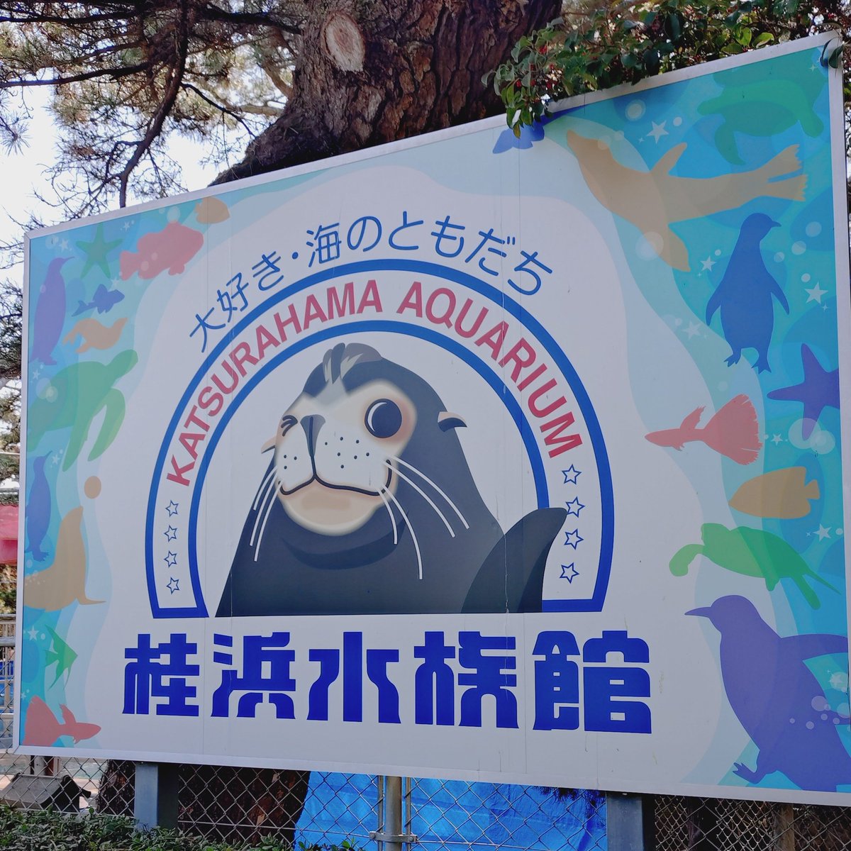 to58vette's tweet photo. 高知旅 https://t.co/tWKYSksf7X
