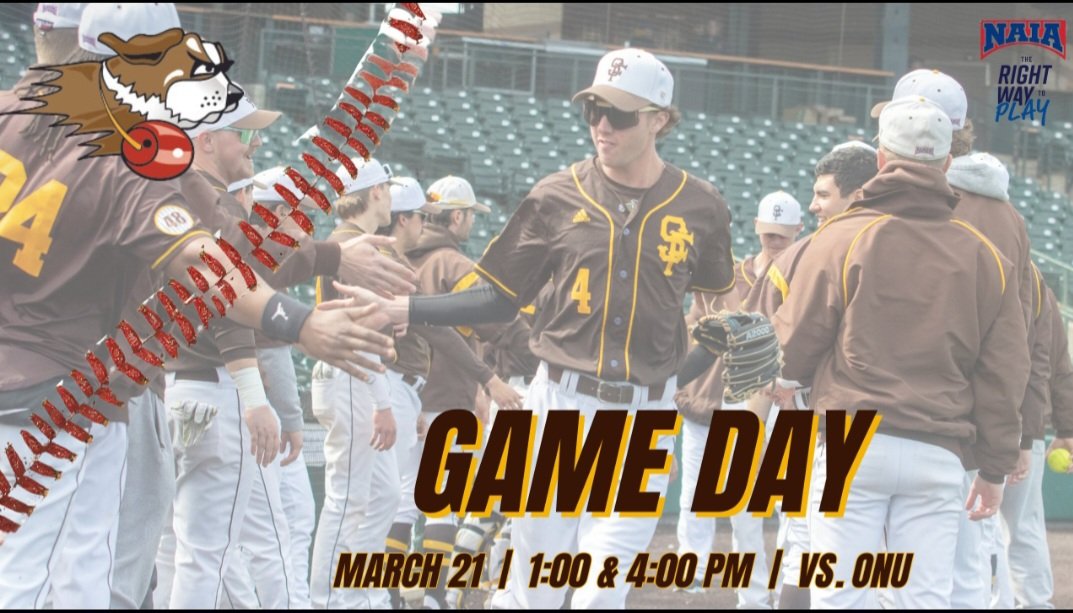 USF Saints Baseball tweet media