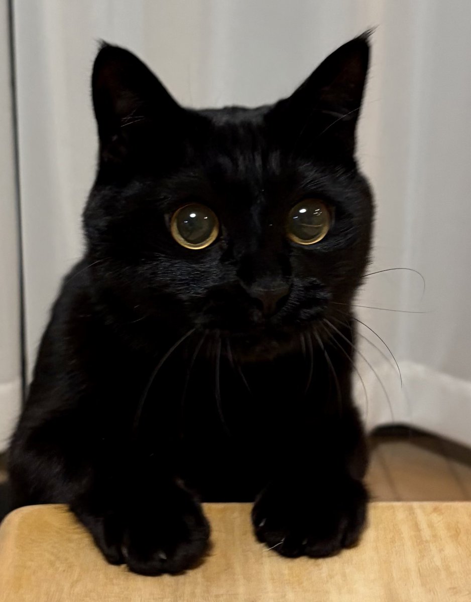 うに3才 tweet media