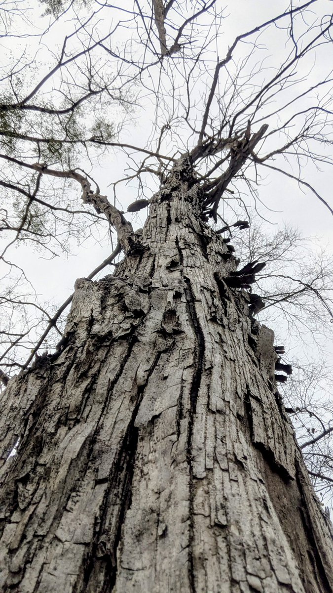 तुमसे, तुम्हारी बातें .. tweet media