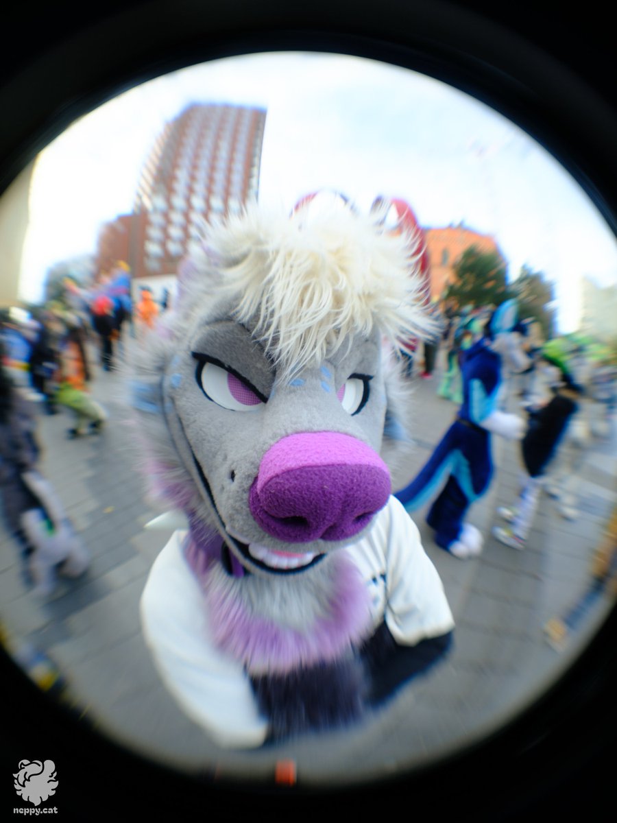 Steel 🦴✨️ @ NFC tweet media