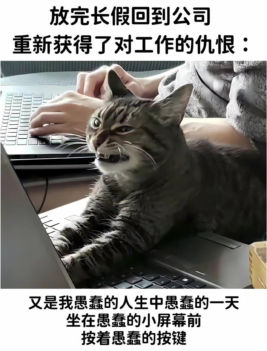 Dàbãrî Têø tweet media