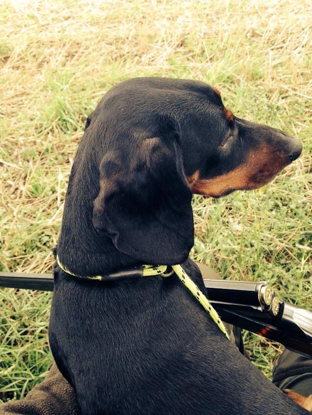 suddigum 🔥 tweet media